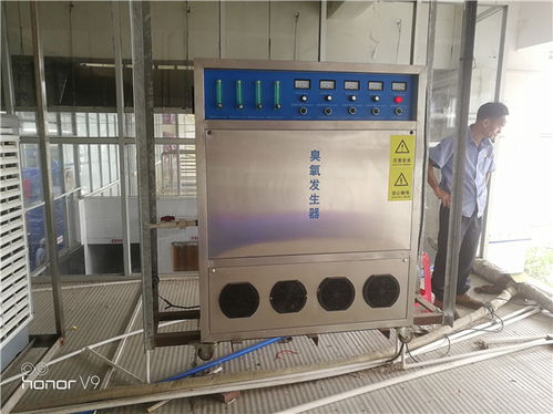 養(yǎng)殖場(chǎng)污水處理器價(jià)格 河北養(yǎng)殖場(chǎng)污水處理器 藍(lán)奧專業(yè)臭氧生產(chǎn)